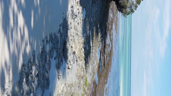 Vertical Video Empty Beach on Zanzibar Island Tanzania Aerial View