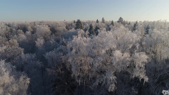 Winter Landscape in Countryside