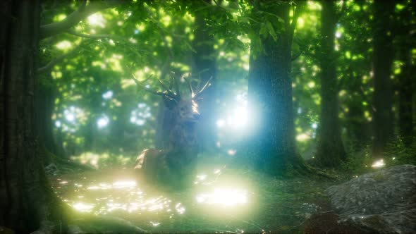 Great Red Deer in a Green Forest