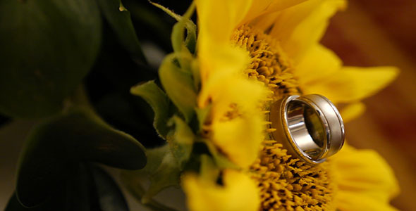 Wedding Rings Sunflower