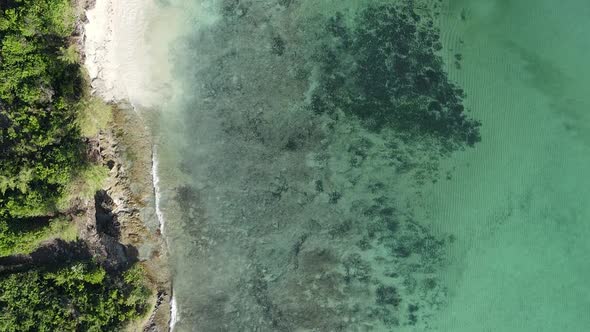 Zanzibar Tanzania  Vertical Video of the Ocean Near the Coast Slow Motion