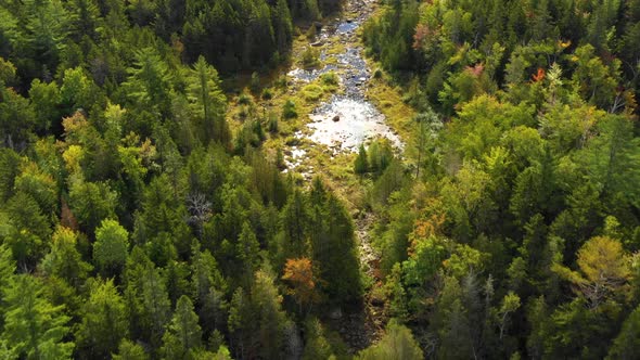 Early fall aerial footage of remote lake in northern Maine cloud reflections in wooded bog