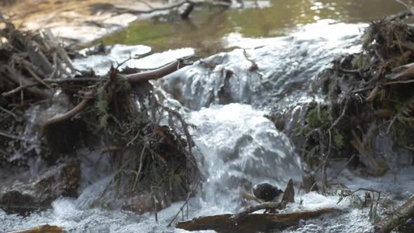 Close Up Push In of a Small Stream in the Woods, Slow Motion