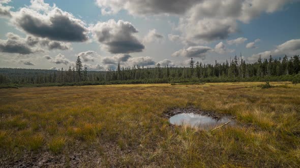 Jizera Mountains, beautiful landscape of the Czech Republic