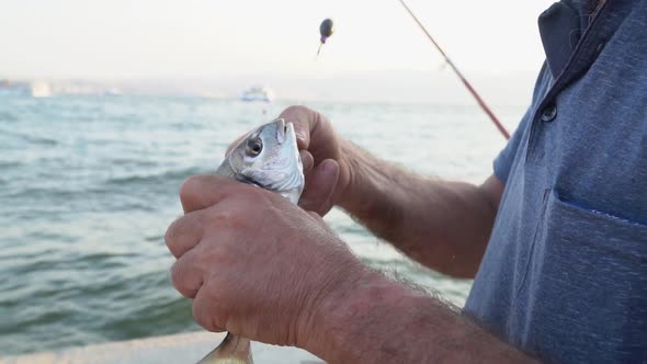 Fishing