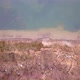 Aerial View of the Shore of a Big Forest Lake Showing the Clear Water the Sandy Beach and the Trees - VideoHive Item for Sale