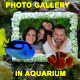 Photo Gallery in Aquarium - VideoHive Item for Sale