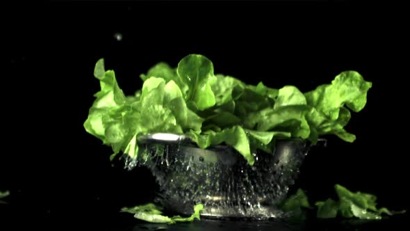 Super Slow Motion Colander with Lettuce Leaves Falls on the Table