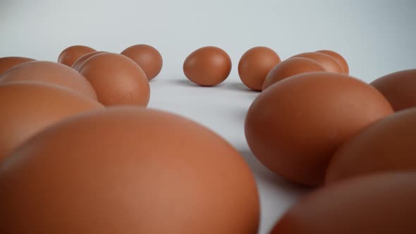 Raw Eggs 03