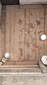 Aerial View of a Shelter for Stray Dogs