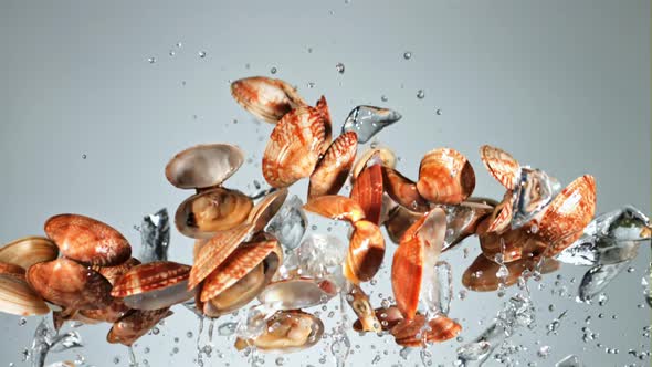 Mussels with Splashes of Water Fly Up and Fall Down