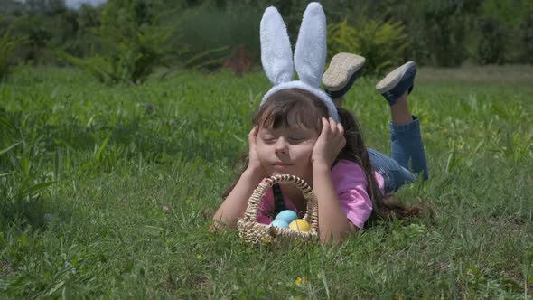 Easter rabbit in the field. 