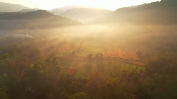 Aerial view from a drone over misty landscape on farmland. 4K