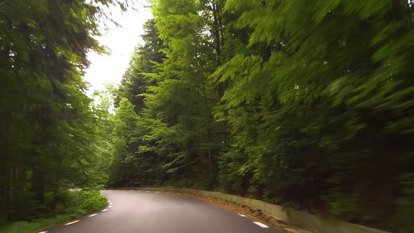 Drive through a forest on a winding and narrow road, Bucegi mountains, Rumania