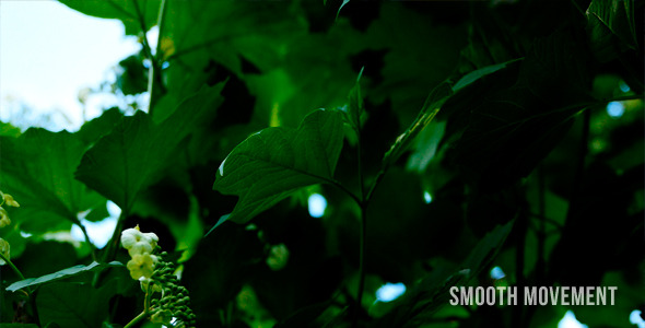 Natural Background alt