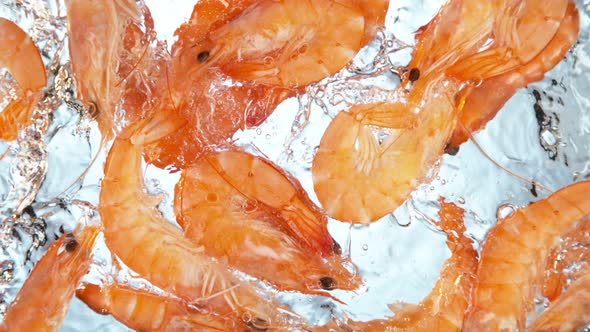 Super Slow Motion Shot of Fresh Shrimps Falling and Splashing Into Water at 1000 Fps