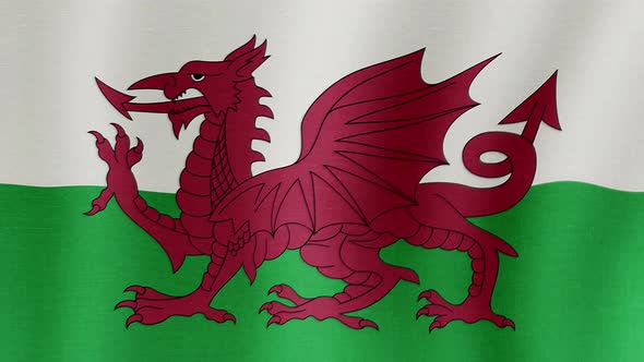 The national flag of Wales