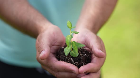 Holding Green Plant in Hands 76