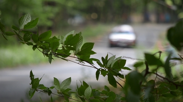 Rally Car in the Forest in Summer 01