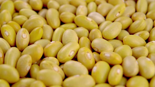 Raw Canary (peruvian) yellow beans. Dry peruano legumes. Macro