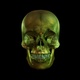 Skull Rotates - VideoHive Item for Sale