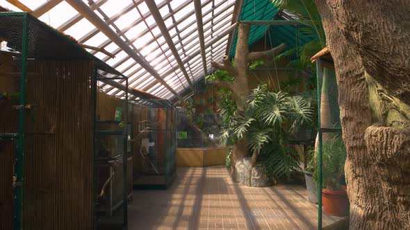 Zoo Interior with Exotic Birds in the Indoor Cages