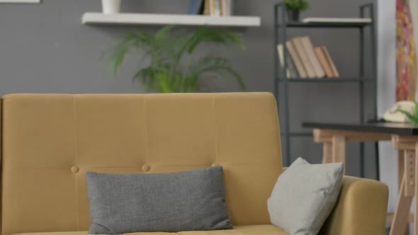 Young Man Coming Siting on Sofa