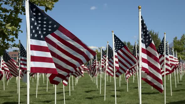 Panning view of American Flags waving  in the wind