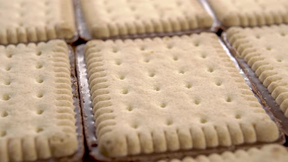 Cookies with a chocolate layer in rows