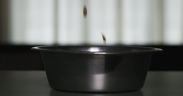 Pouring dog food in slow motion into silver pet bowl