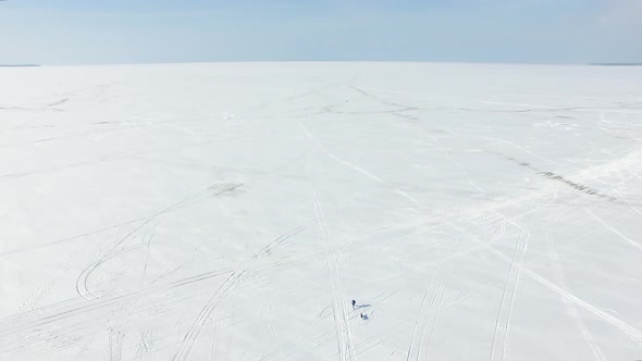 Aerial: Sprinter in harness with sled dog on a frozen bay in winter