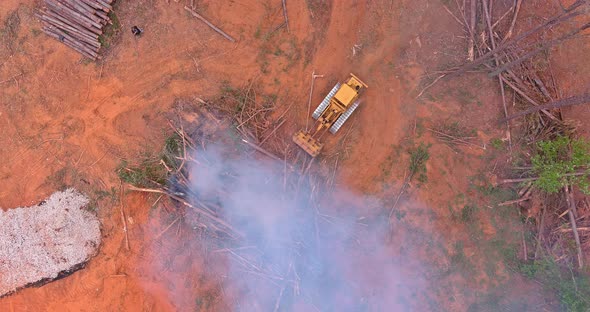 In Order to Clear Land for a Subdivision of Housing Tractors Skid Steers Were Used