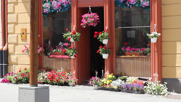 Flower Shop at Street
