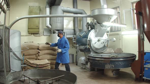 Long Shot of Factory Worker Preparing Coffee for Roasting