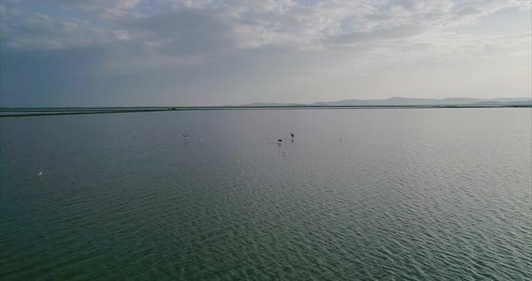 Aerial of Birds Flying Over the Salt Lakes in Vlore Albania