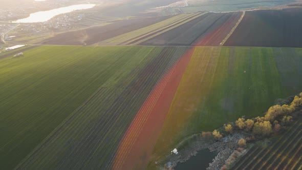 Aerial View of Wheat Fields Agricultural Land