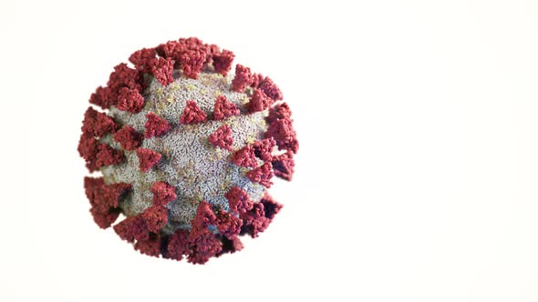 Rotation of a Virus Molecule on a White Isolated Background alt