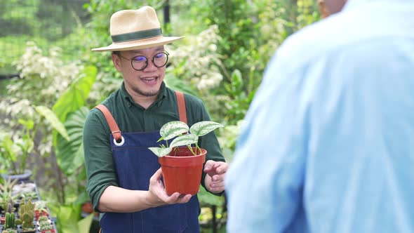 4K Asian man plant shop owner helping the customer choosing potted plants in store