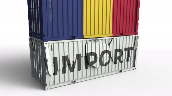 Container with Flag of Romania Breaking Container with IMPORT Text