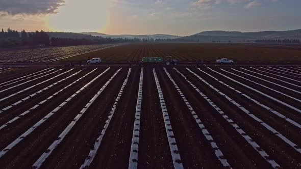 Aerial footage of farm workers working in a field with tractors