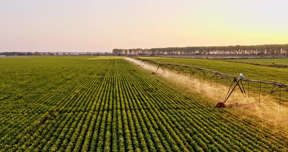 Pivot irrigation system on soybean field