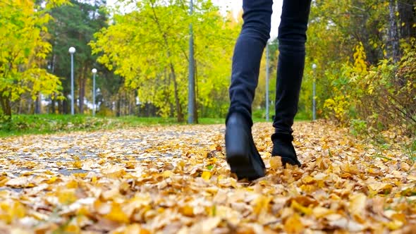 Slim Woman Legs in Black Jeans Kick Dry Yellow Foliage