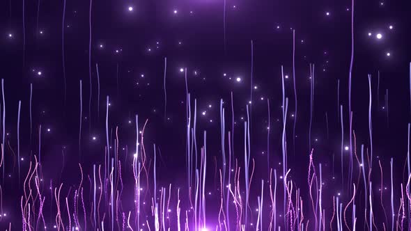 Fantasy Purple Beautiful Lines Rising Background Loop