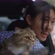 Lovely Asian Girl Holds A Cat On Her Lap In The Passenger Seat Of A Driving Car - VideoHive Item for Sale
