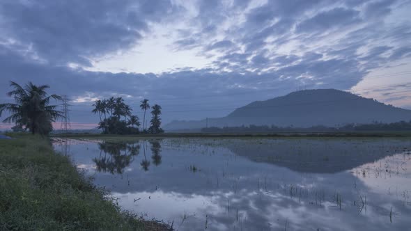 Timelapse sunrise reflection moving cloud over paddy field with coconut