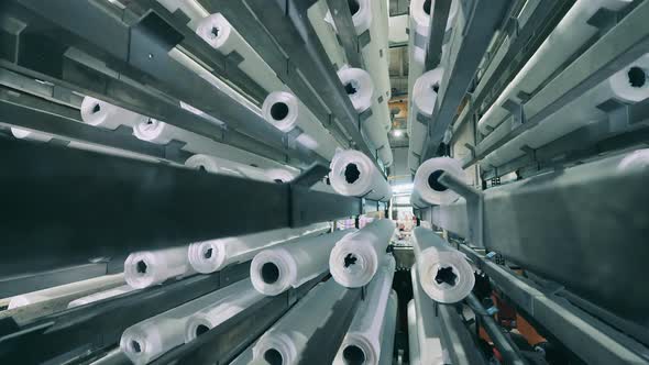 Rolls of Toilet Paper Moving Up and Down at a Production Line