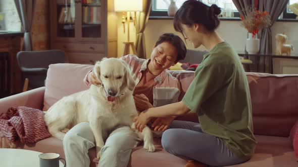 Cheerful Asian Women Playing with Dog on Sofa at Home