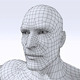Male: Base Mesh (High Poly) - 3DOcean Item for Sale