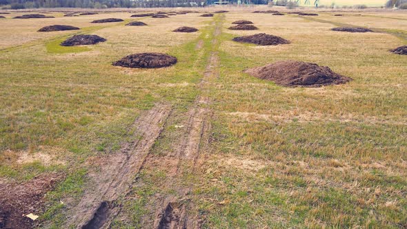 Round Heaps of Manure on a Farm Field