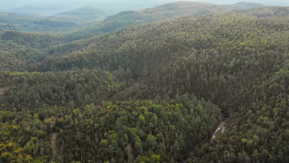 Drone footage flying high towards a ridge next to a winding forest stream.